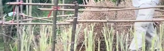 j9九游会官方登录矣进宏干农活：当想要放弃的时候 想想为什么坚持到现在