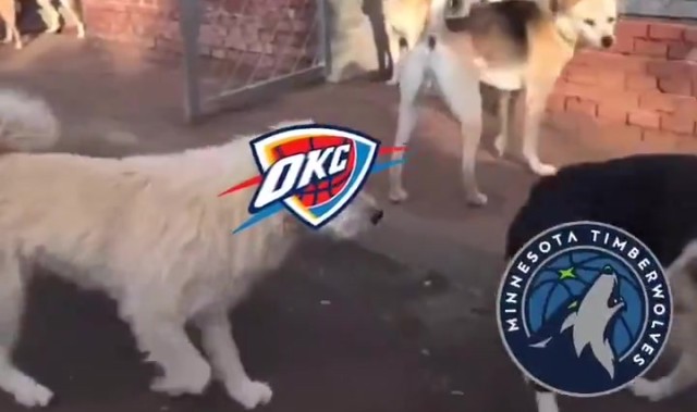 j9九游会官方登录🔥火到国外了！俄城警察局P图庆祝雷霆西部冠军：狗王来也~